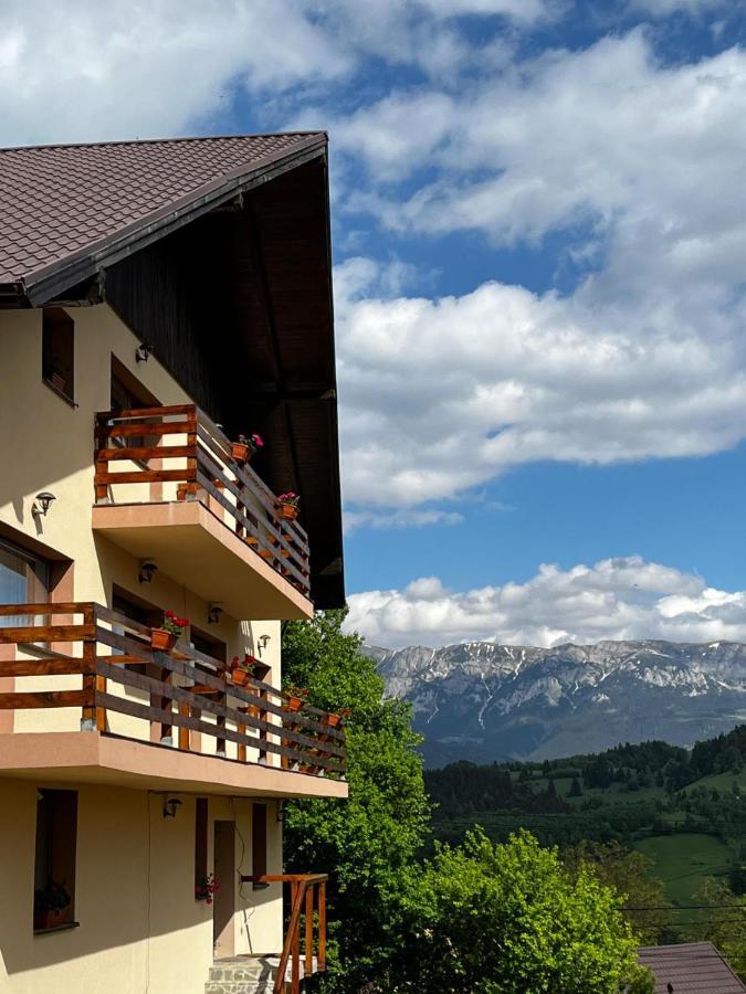 Transylvanian House Drumu Carului Exteriér fotografie