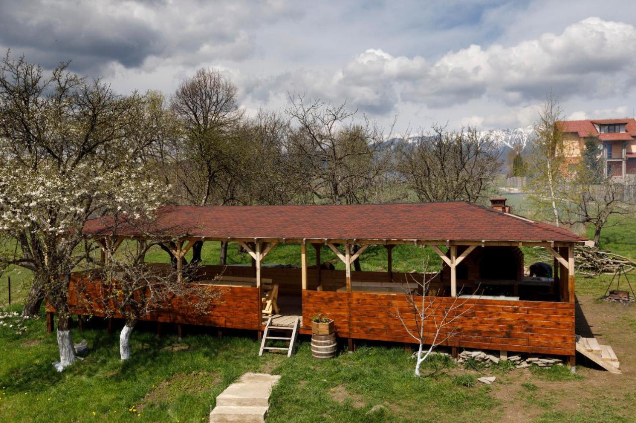 Transylvanian House Drumu Carului Exteriér fotografie