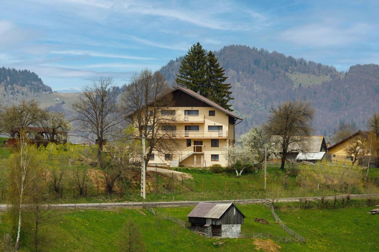 Transylvanian House Drumu Carului Exteriér fotografie