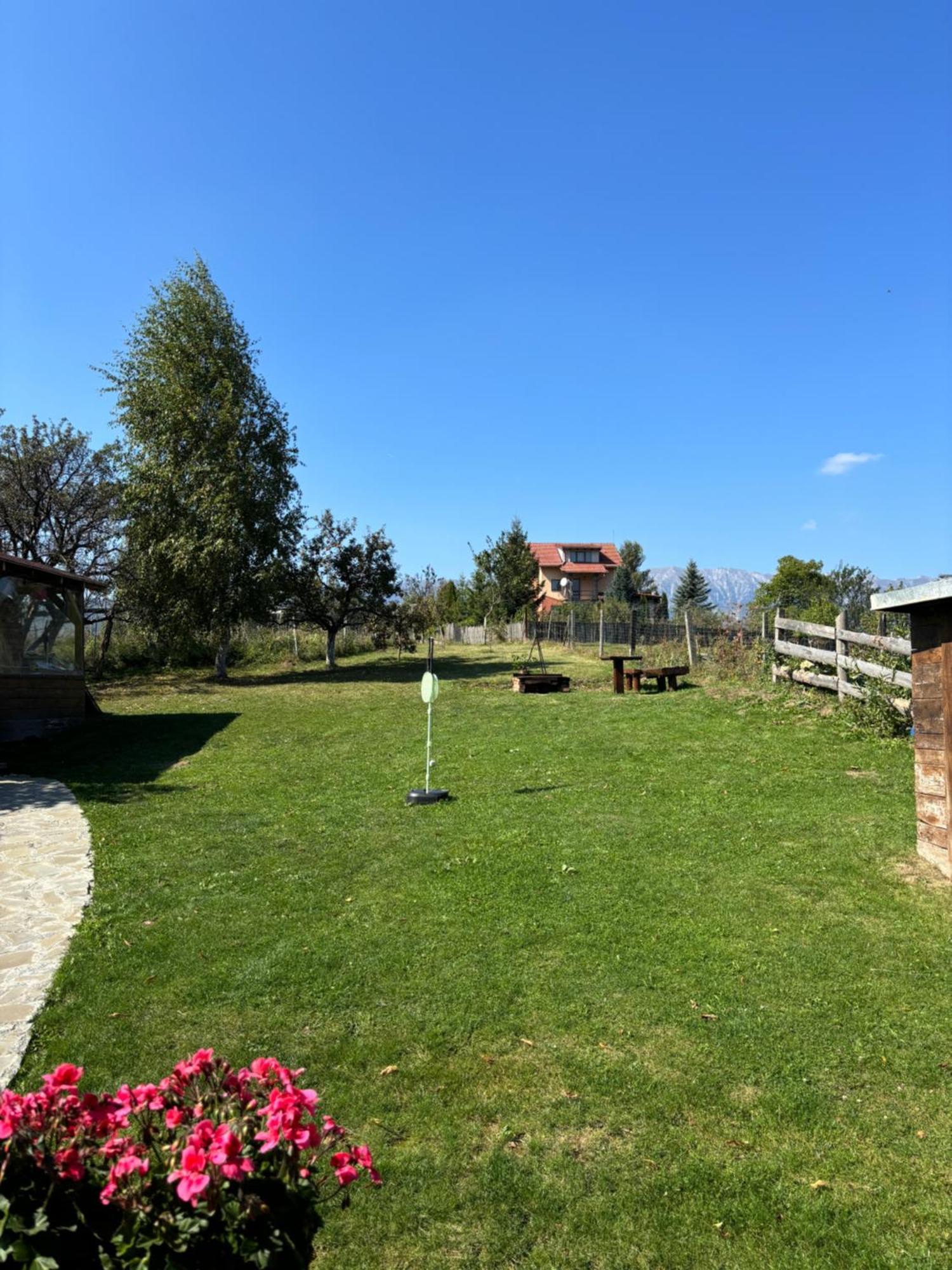 Transylvanian House Drumu Carului Exteriér fotografie